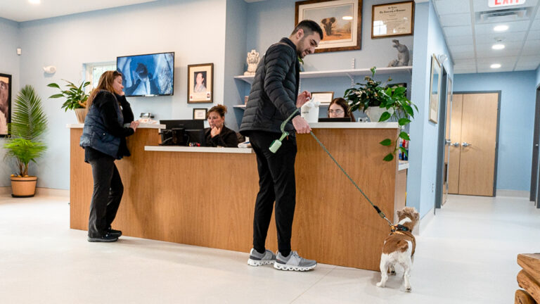 Deserunt minima ea omnis